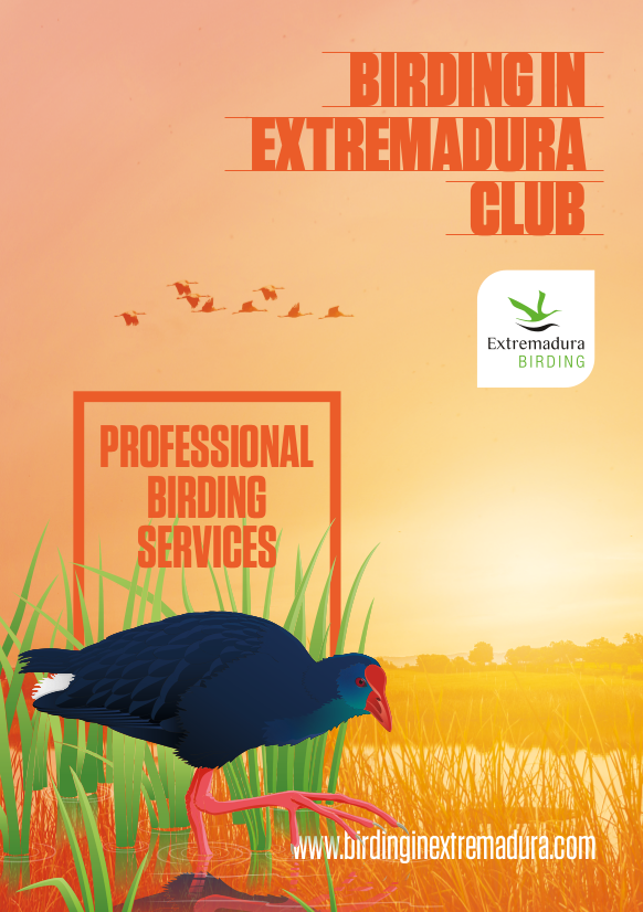 Professional Birding Services